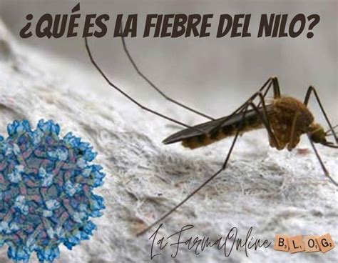 nilo cfg|Virus del Nilo Occidental: España confirma cinco .